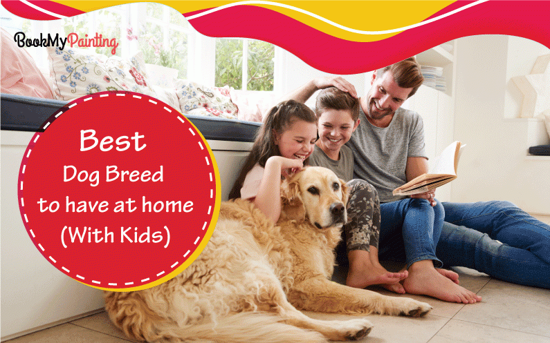 23 Friendly & Adorable Dog Breeds To Have At Home