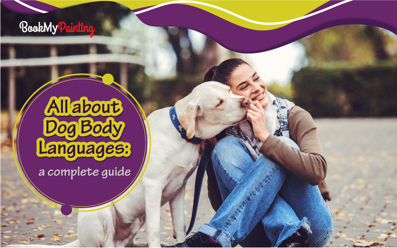All About Dog Body Language: The Best Guide in 2020