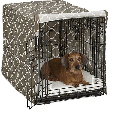 Delicate Side Dog Crate