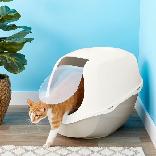 Choose a Litter Box (Litter Train a Cat)