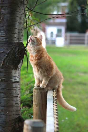 Go On An Exploration