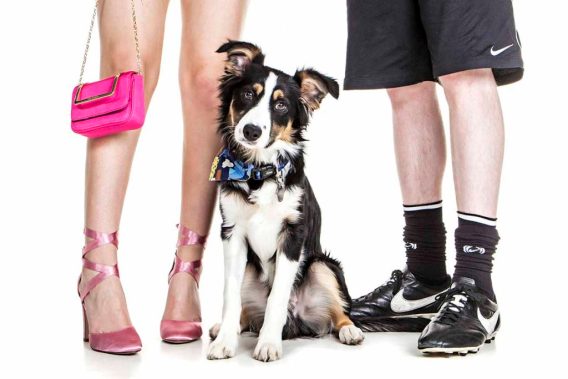 A Picture Together (Dog Portraits from Photos)