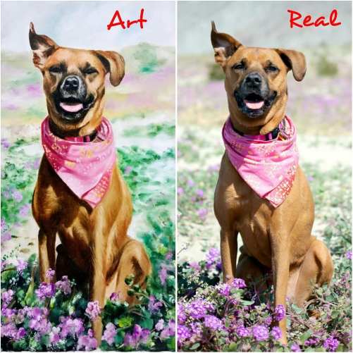 Handmade Oil Painting on Canvas