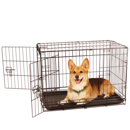 medium crates for dogs