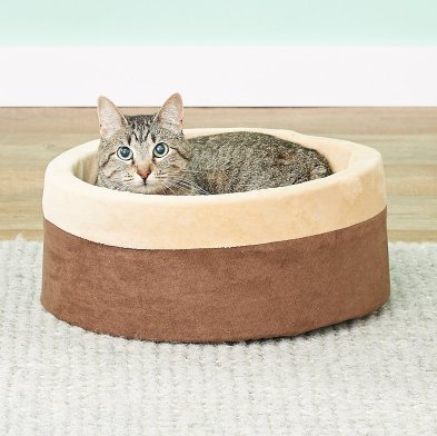 Thermo-Kitty Bed As Cat Birthday Gift