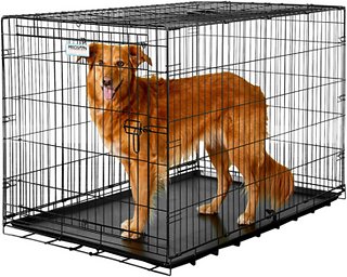 immideate crates for dogs 