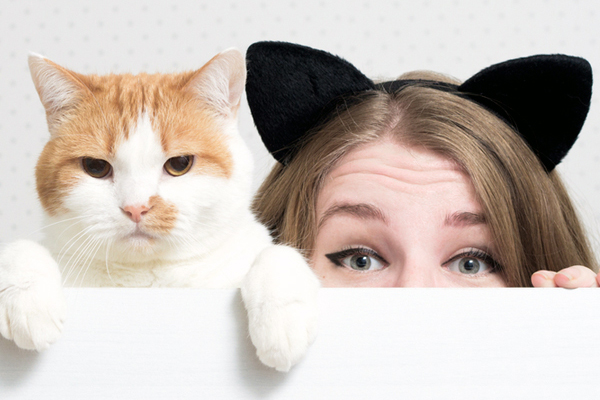 Caring the Ears (Cat Grooming)