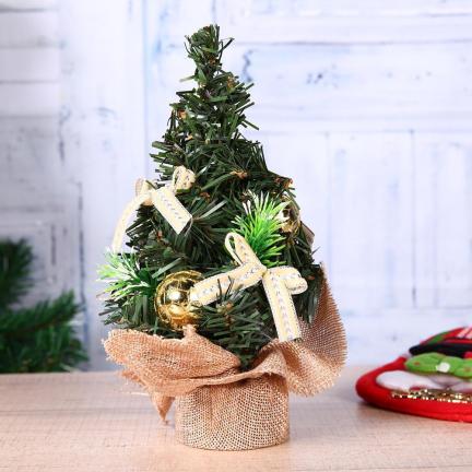 Mini Plants as christmas decoration Ideas
