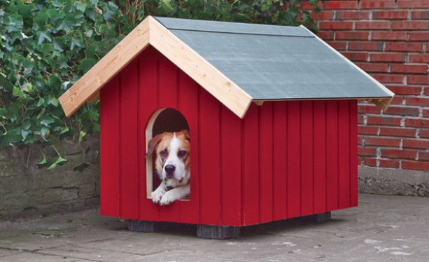 Traditional Dog House