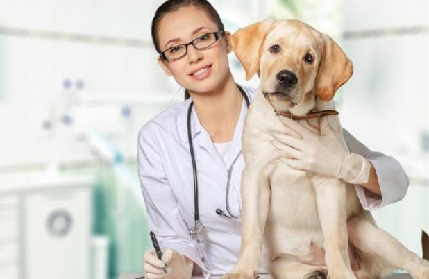 Diagnosis is first step of hair loss treatment