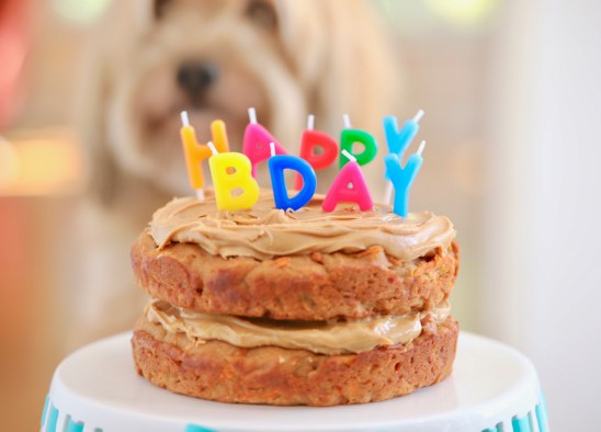 Dog Birthday Cake