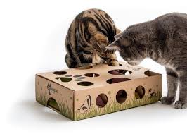 Treat maze for cats