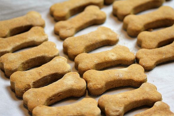 Pumpkin Dog Biscuits 