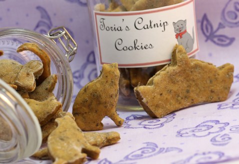 Catnip Cookies As Cat Birthday Gift
