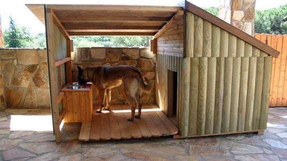 The Ultimate Pete Nelson Dog House