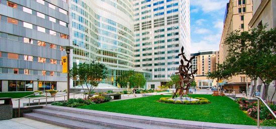 Mayo Clinic (Rochester, Minnesota)