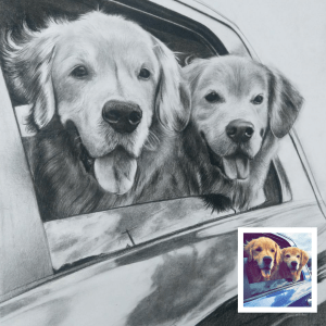 occasions to gift a pet portrait