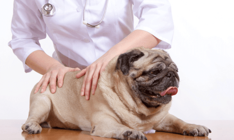 Massage as birthday gift