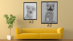 occasions to gift a pet portrait